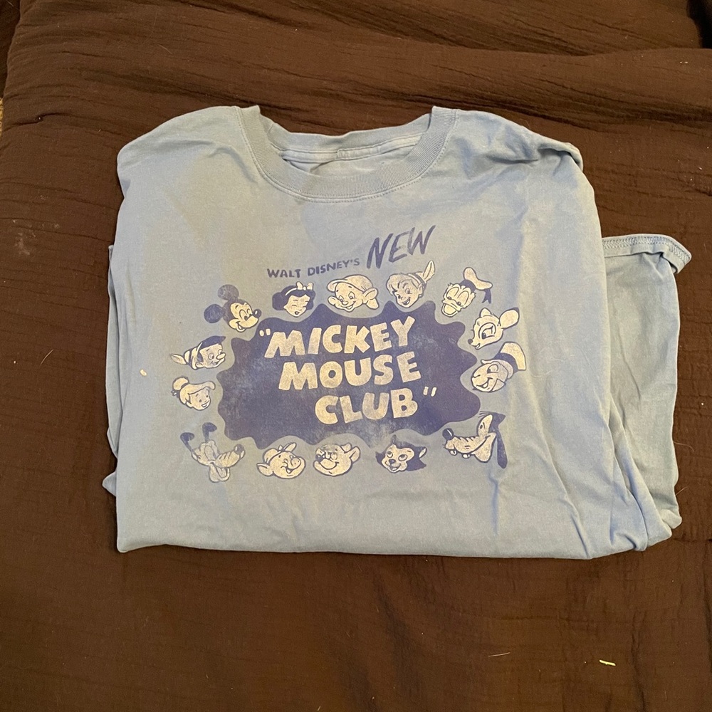 Disney parks tshirt